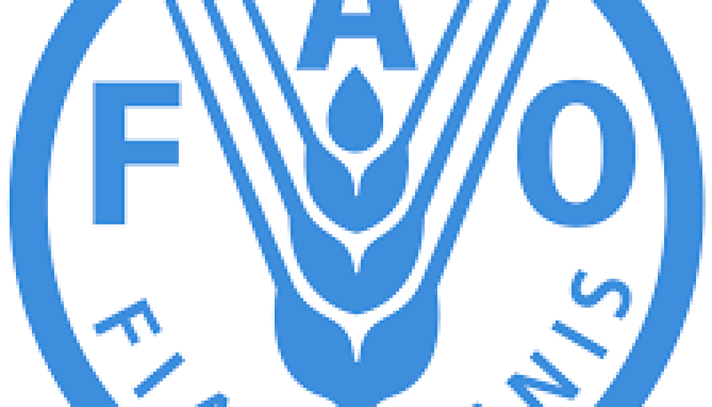 fao Programme Assistant (South Africa) Vacancy-Job Ref: JKZAFAO/0801/202385