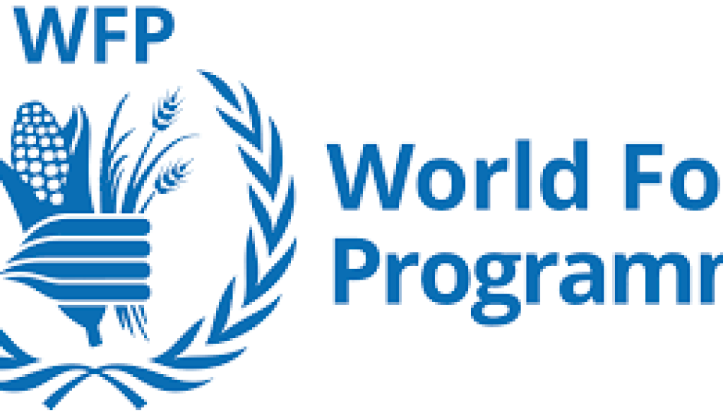 wfp Head of Governmental Services Vacancy-Job Ref: JKZAWFP/0801/202389